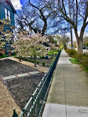 File Apr 01, 10 37 49 AM