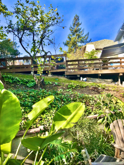 File Dec 04, 8 53 08 PM