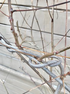 File Jan 05, 6 32 46 PM