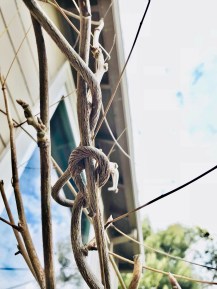 File Jan 05, 6 33 20 PM